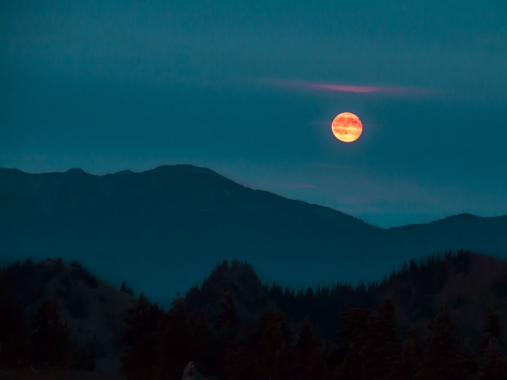 Once in a Red Moon Olympic National Park wallpaper