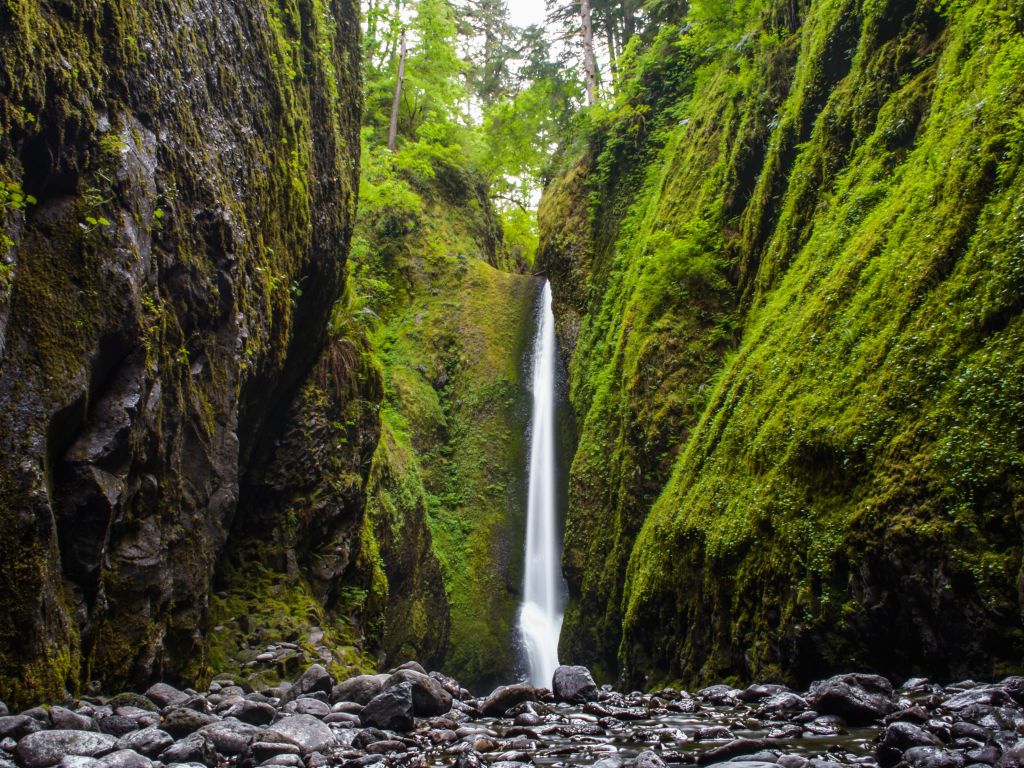 Oneonta Gorge OR wallpaper