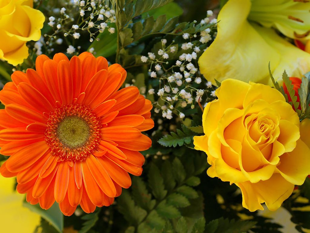 Orange and Yellow Bouquet wallpaper