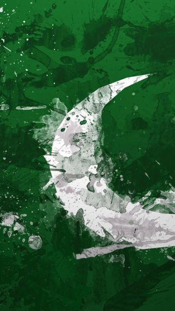 Pakistan Flag Background Images HD Pictures and Wallpaper For Free  Download  Pngtree