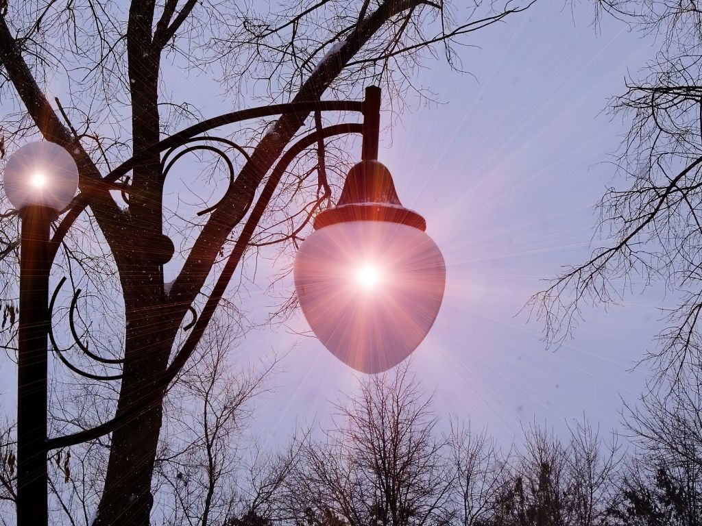 Park Lamp Glowing in the Night wallpaper