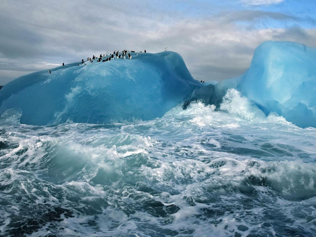 Penguin Island wallpaper
