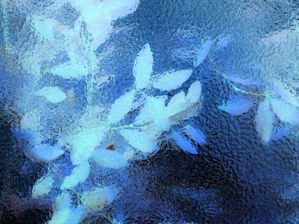 Phone Blue Leaves Behind Glass wallpaper
