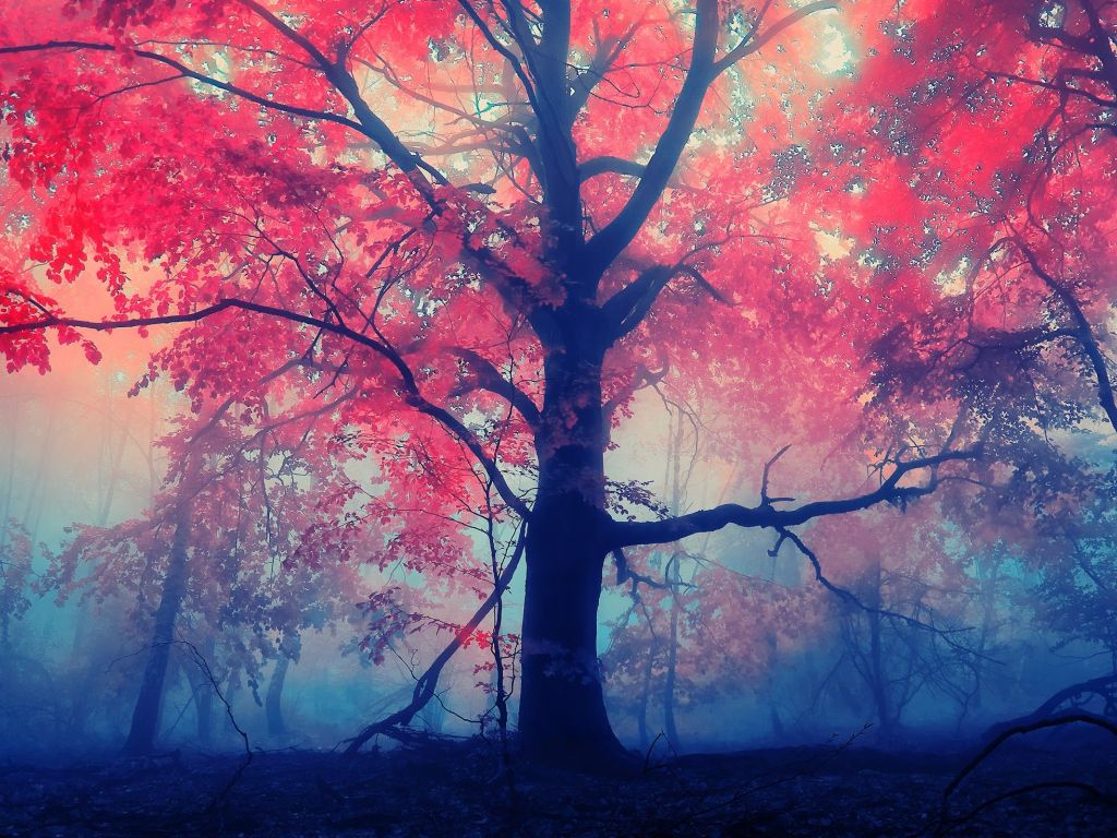 Pink and Blue Tree wallpaper