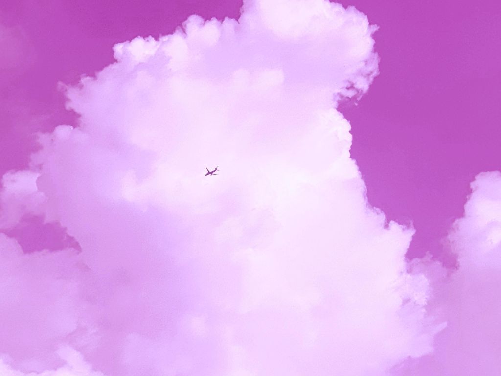 Pink Sky Plane wallpaper