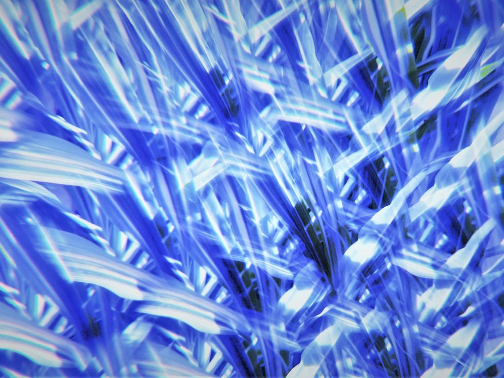 Plants-blueflames-crystals wallpaper