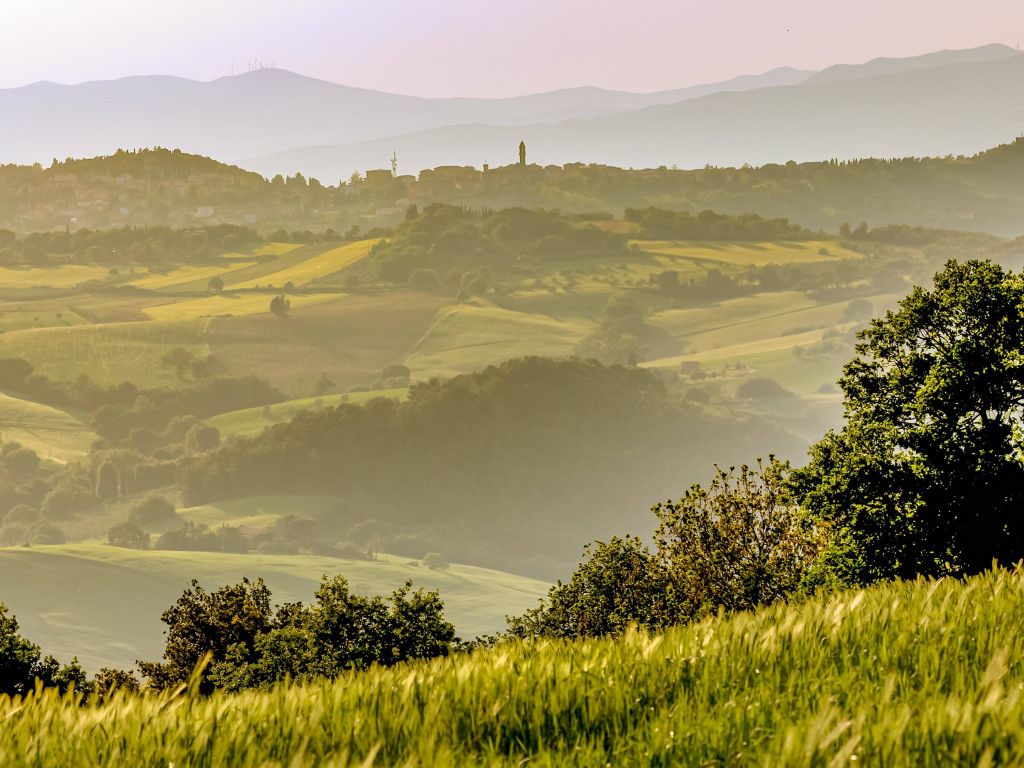 Pomerance Tuscany in the Late Afternoon wallpaper