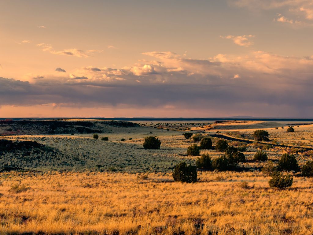 Prairie at Sunset wallpaper