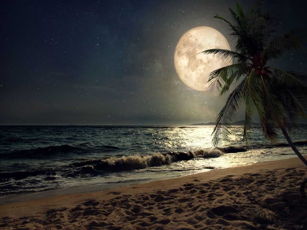 Beautiful Fantasy Tropical Beach With Milky Way Star in Night Skies Full Moon wallpaper