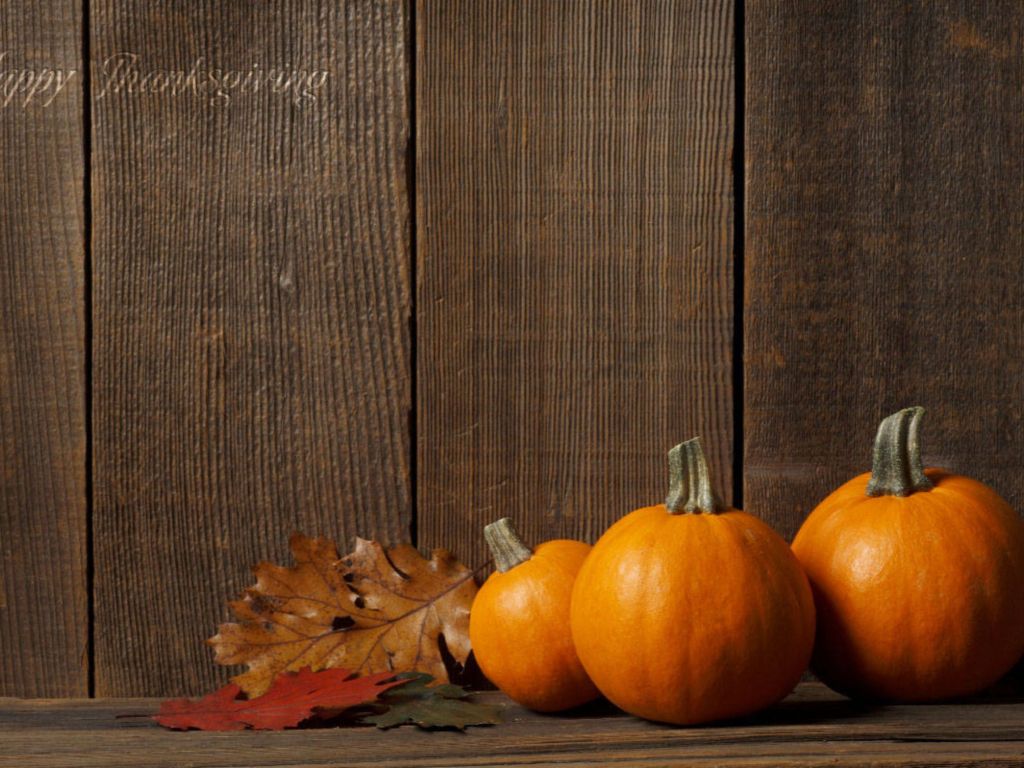 Pumpkin Thanksgiving wallpaper