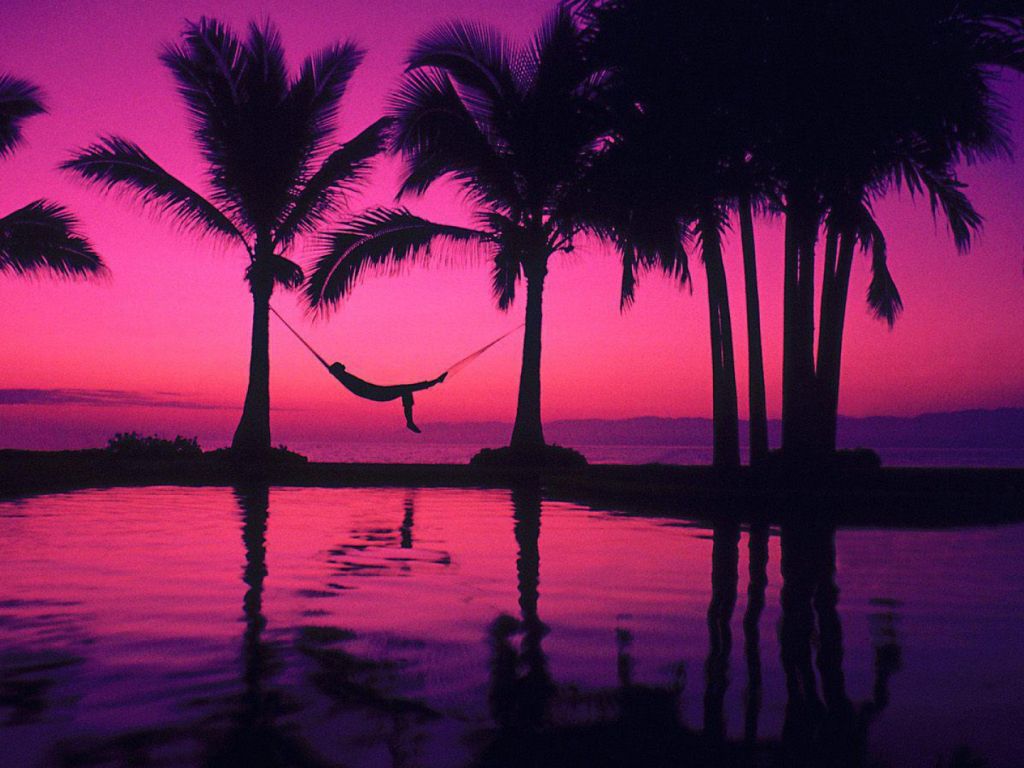 Purple Beach Sunset wallpaper