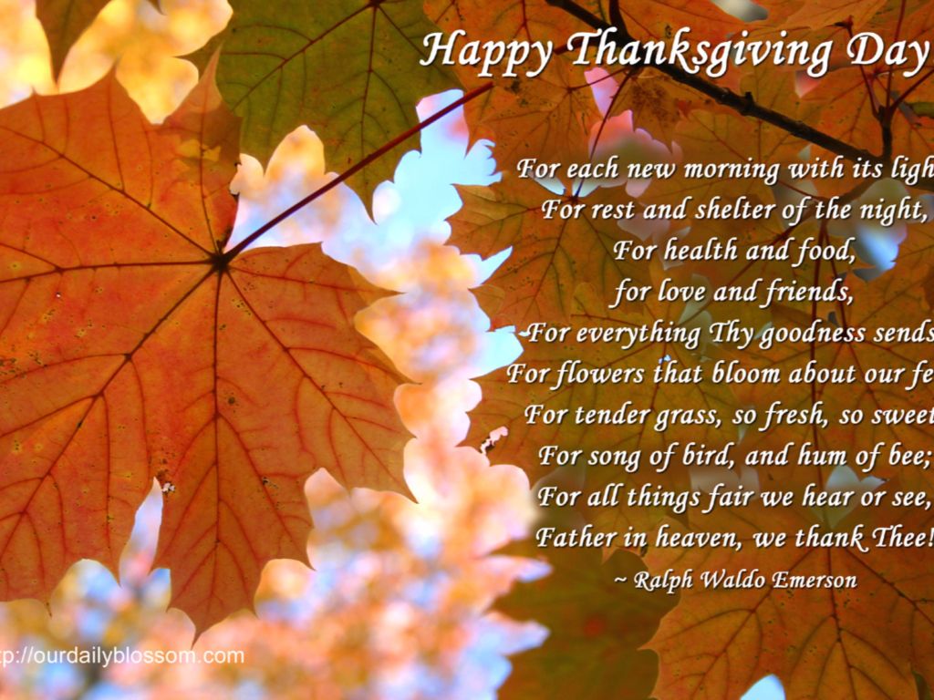Quotes Happy Thanksgiving wallpaper