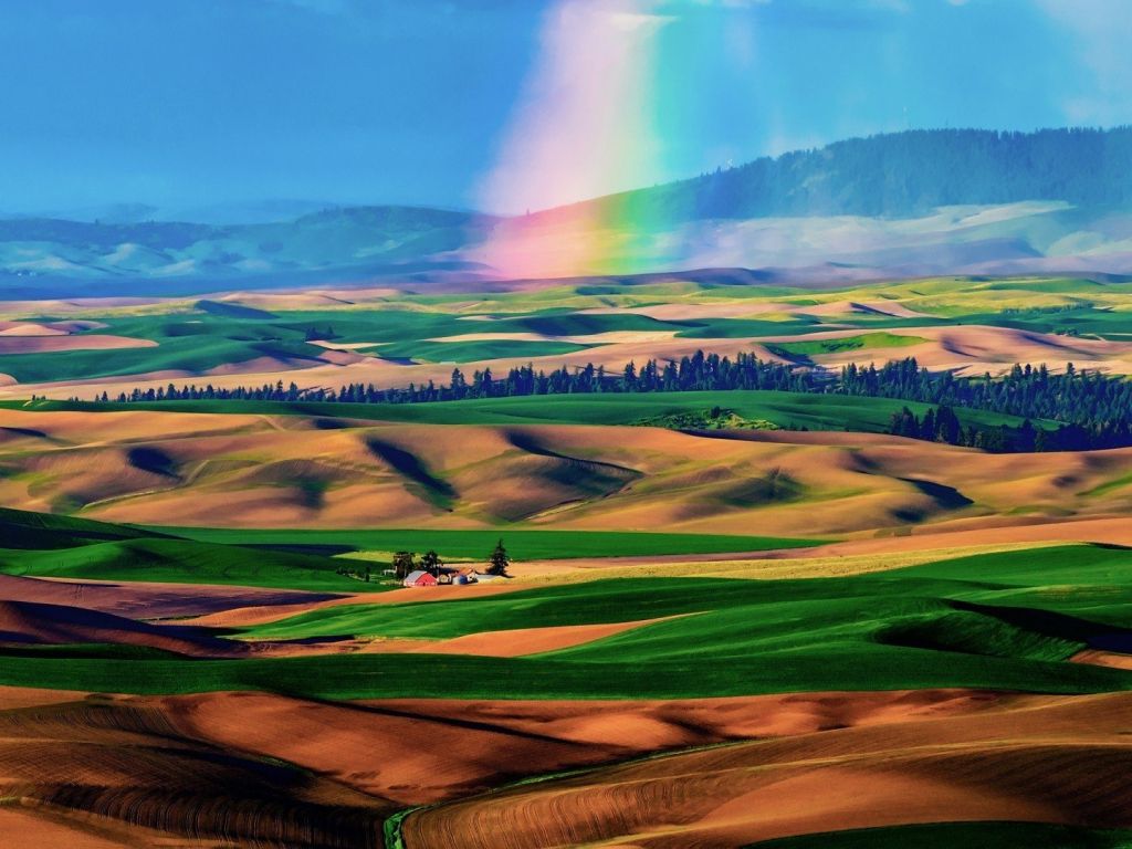 Rainbow on The Colorful Fields wallpaper