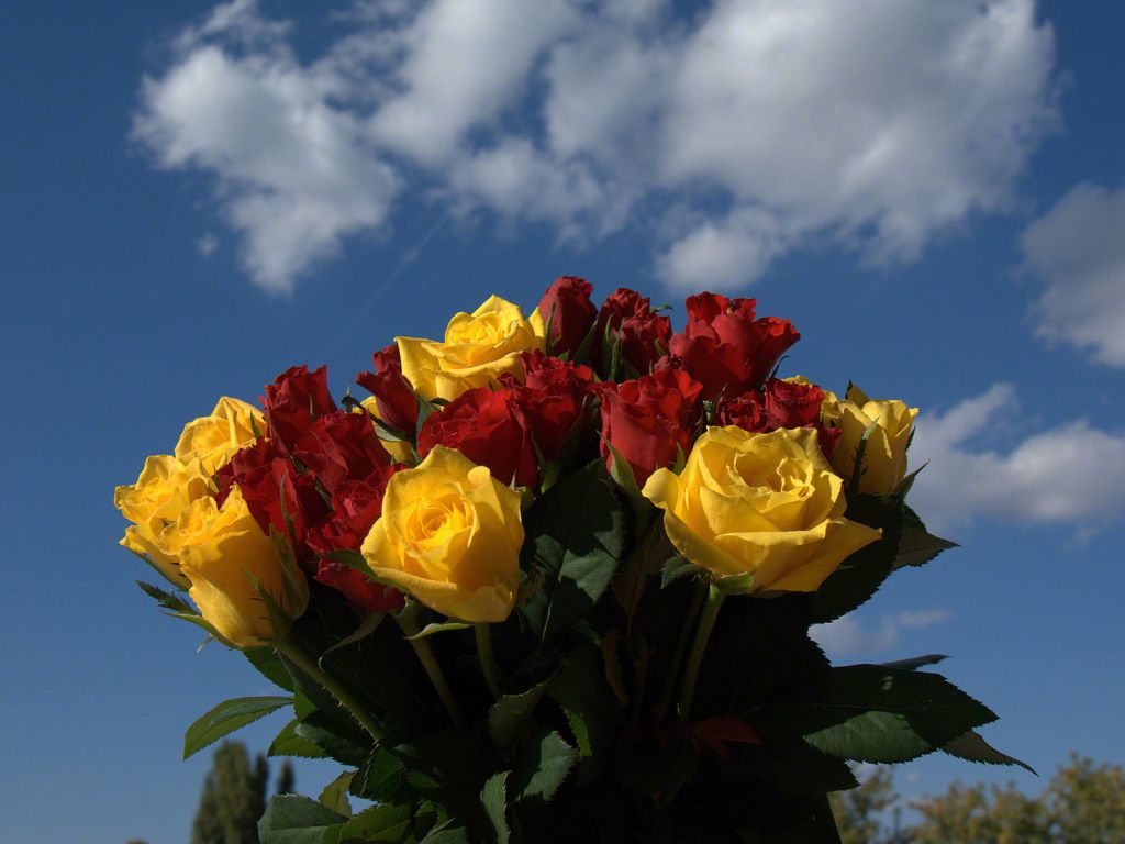 Red And Yellow Roses Bouquet wallpaper