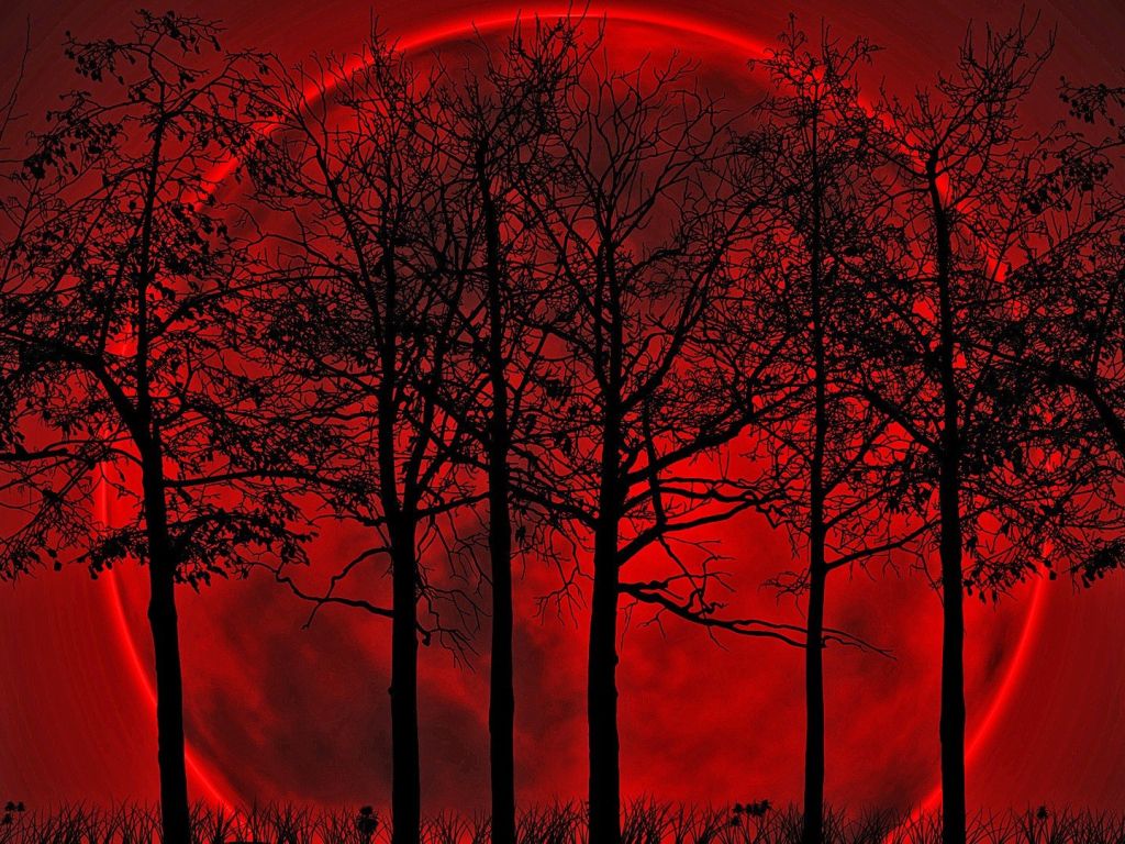Red Blood Moon wallpaper in 1024x768 resolution
