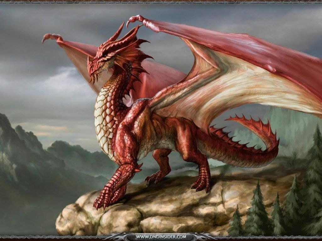 Red Dragons wallpaper