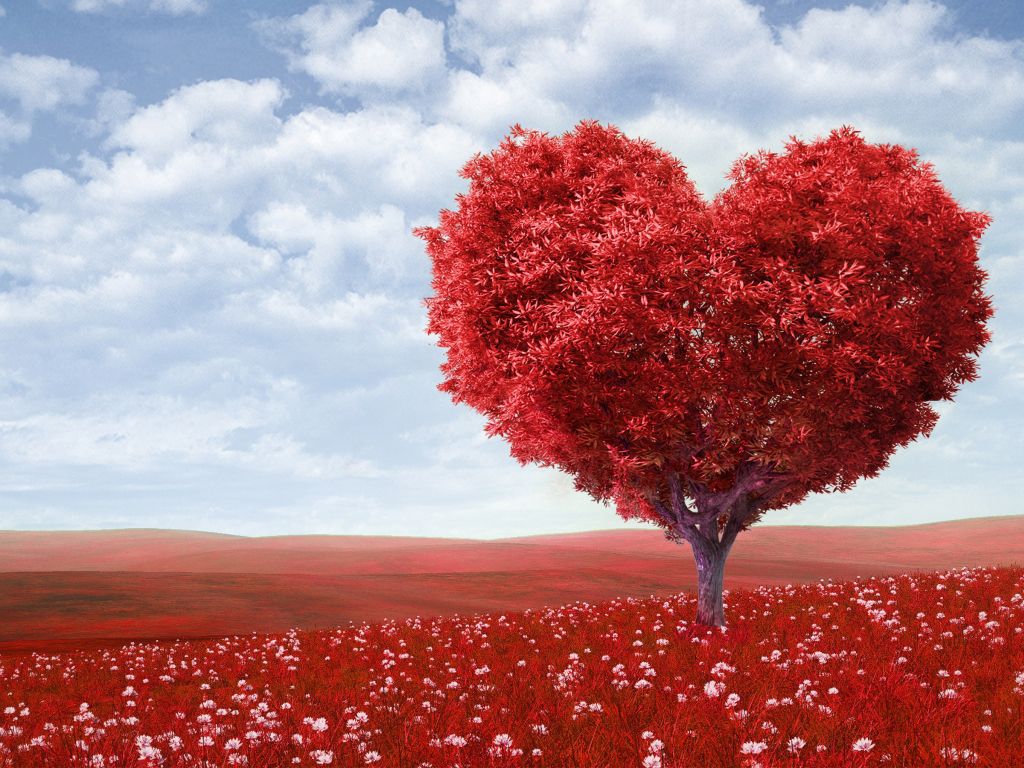 Red Love Heart Tree wallpaper