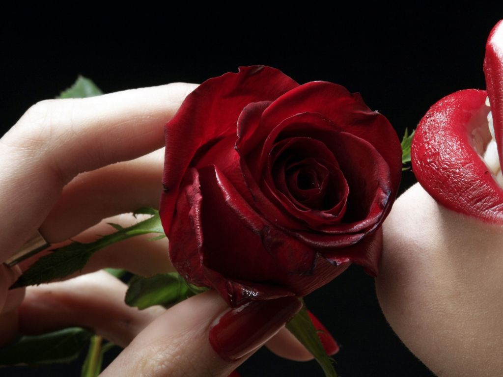 Red Rose and Red Lips wallpaper