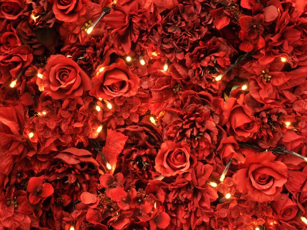 Red Roses Lights wallpaper