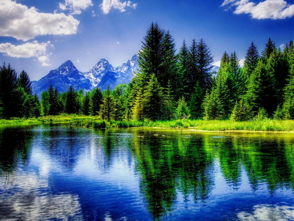 Reflections Nature Tranquil Beautiful Trees wallpaper