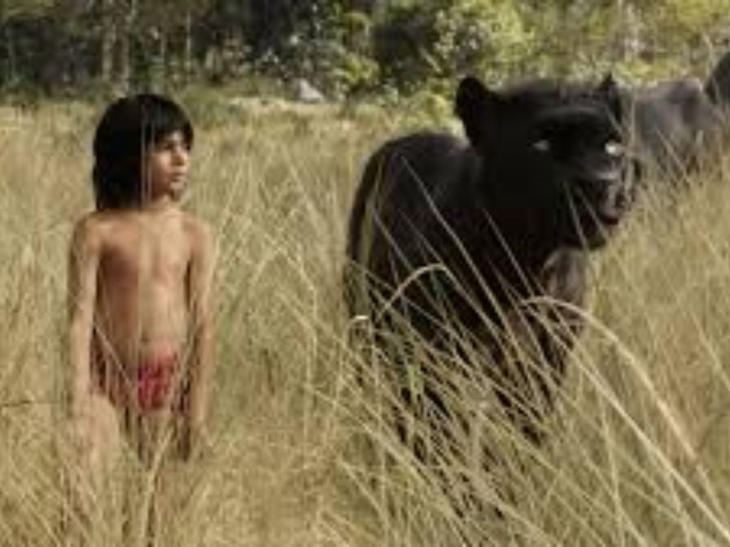 Review Jungle Book Movie wallpaper
