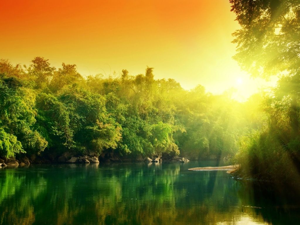 River Forest Sunset wallpaper