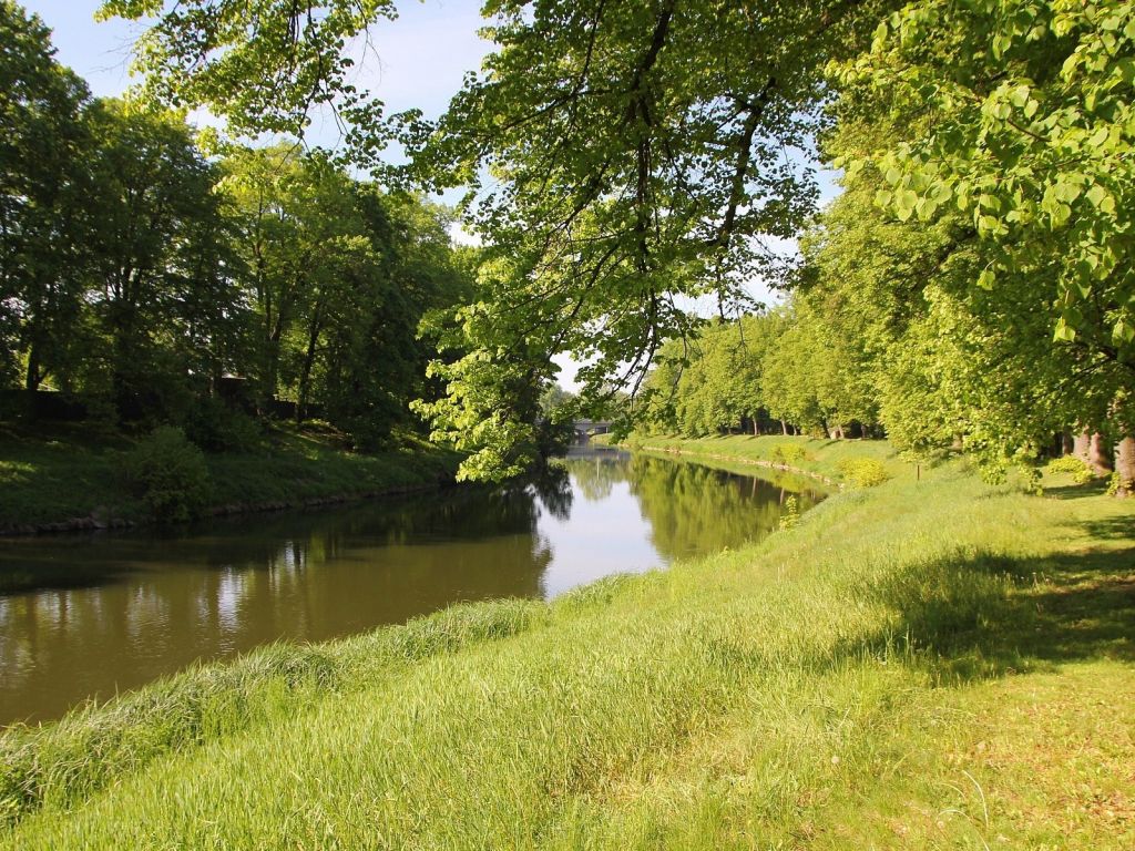 River and Green Landscape wallpaper