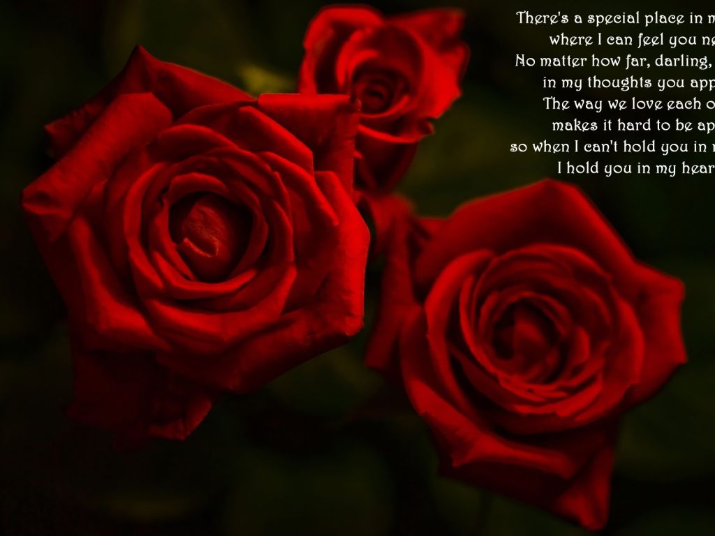 Romantic Poem and Red Roses wallpaper