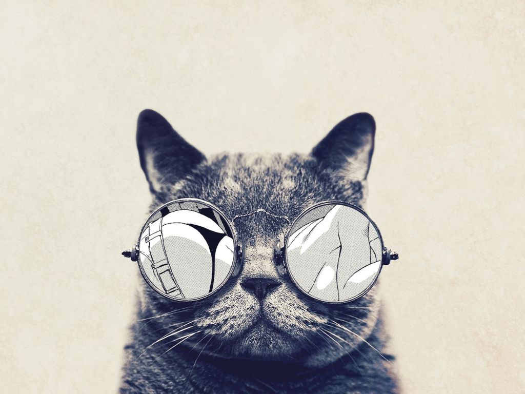 Round Glasses Cat wallpaper