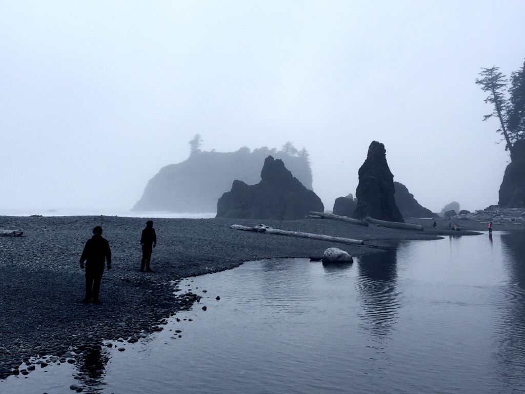 Ruby Beach OR in the Evening Fog wallpaper