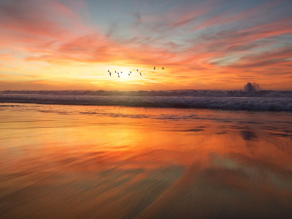 San Diego Beach Sunrise wallpaper