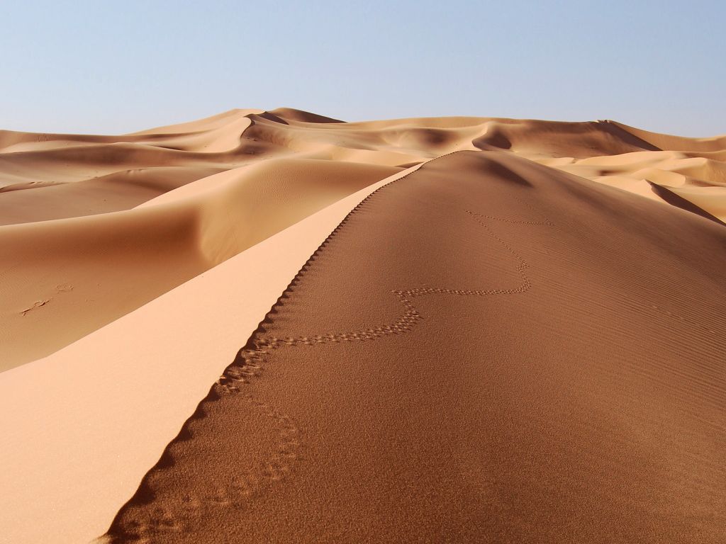 Sand Dune in the Desert wallpaper