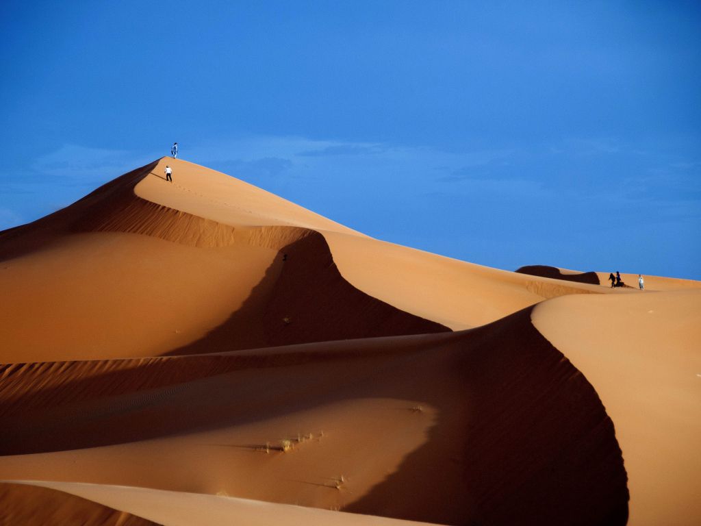 Sand Dunes wallpaper