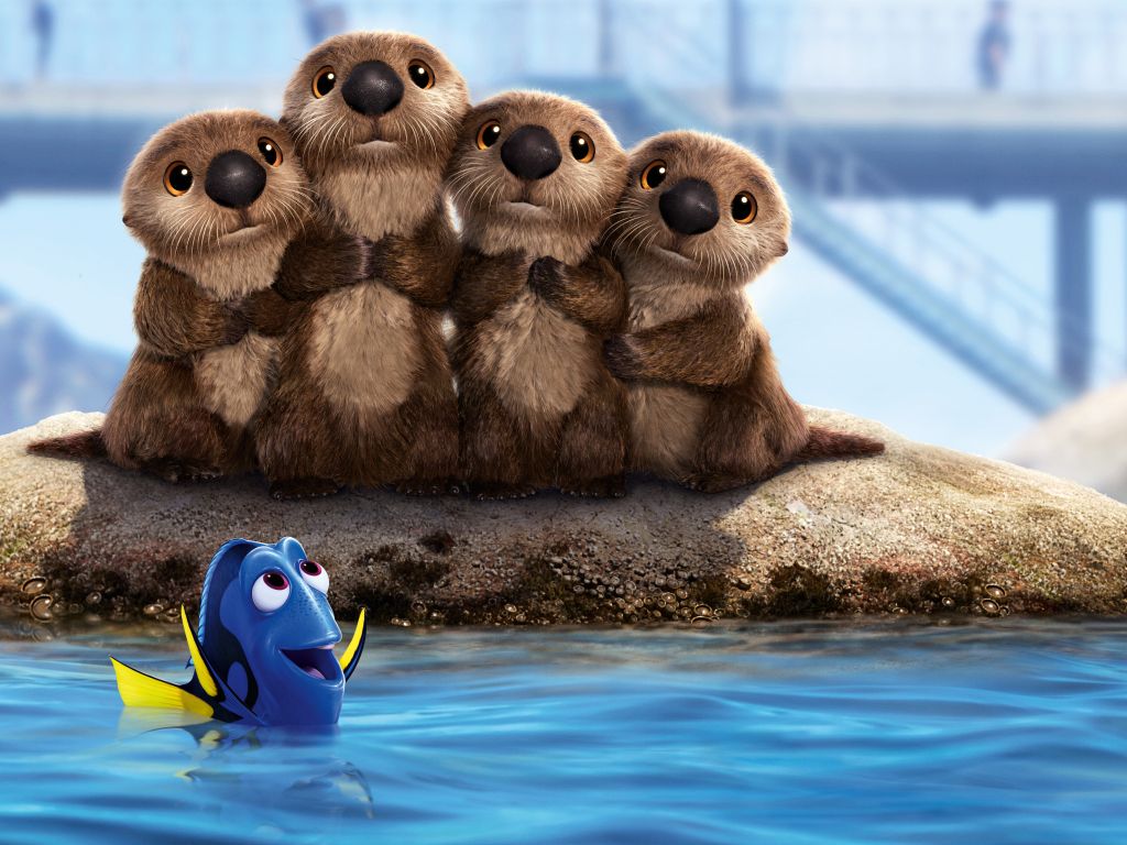 Sea Lions Finding Dory wallpaper