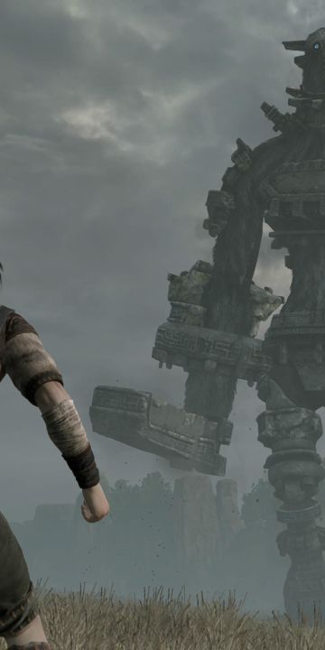 Shadow of the Colossus wallpaper in 360x720 resolution