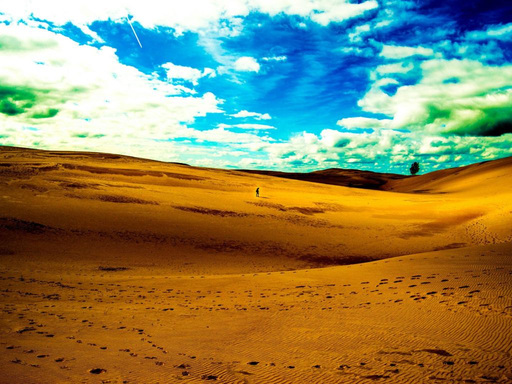 Silver Lake Sand Dunes Nomad Michigan wallpaper