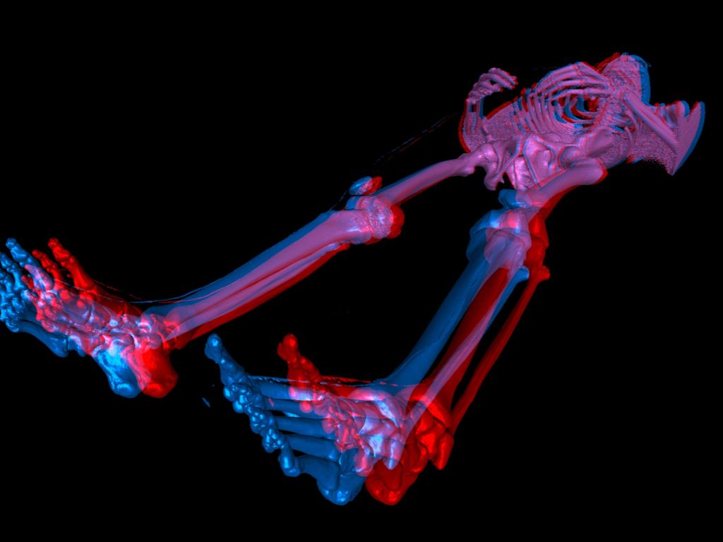 Skeleton 3D wallpaper