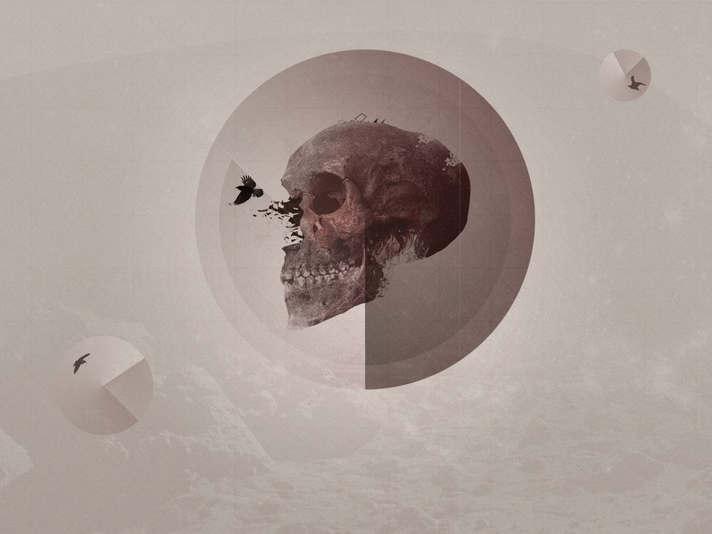 Skull 4K wallpapers for your desktop or mobile screen free and easy to