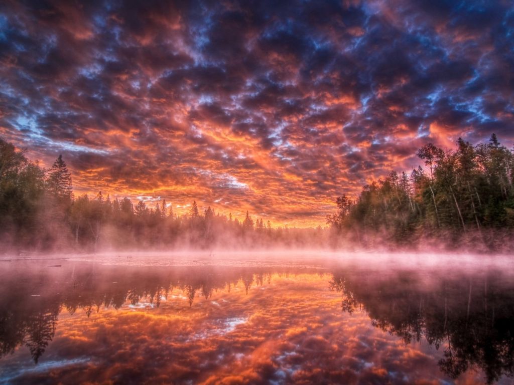 Sky Lake Fog Steam Ominous Darkness Reflection Trees wallpaper