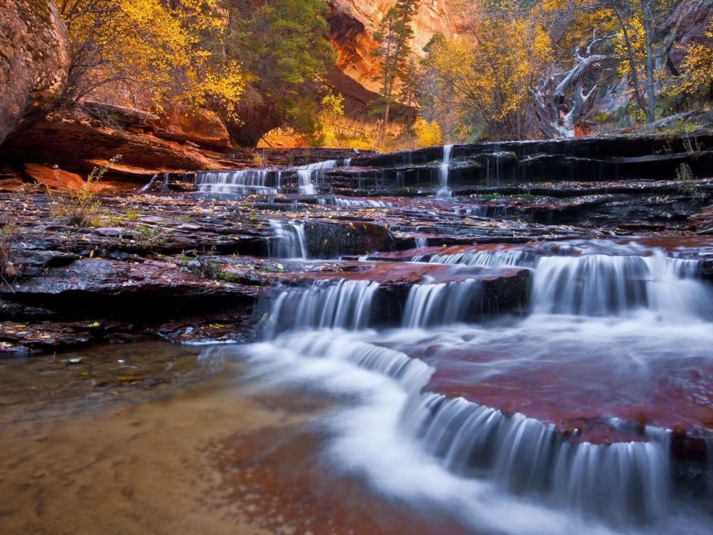 Small Creek In Zion National Park wallpaper