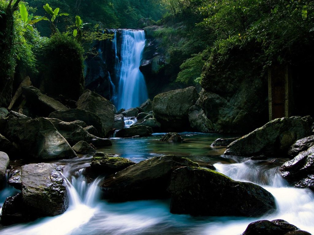 Small Forest Waterfall wallpaper