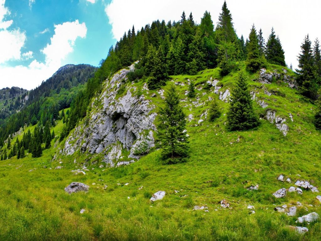 Small Mountain Trees Landscape wallpaper