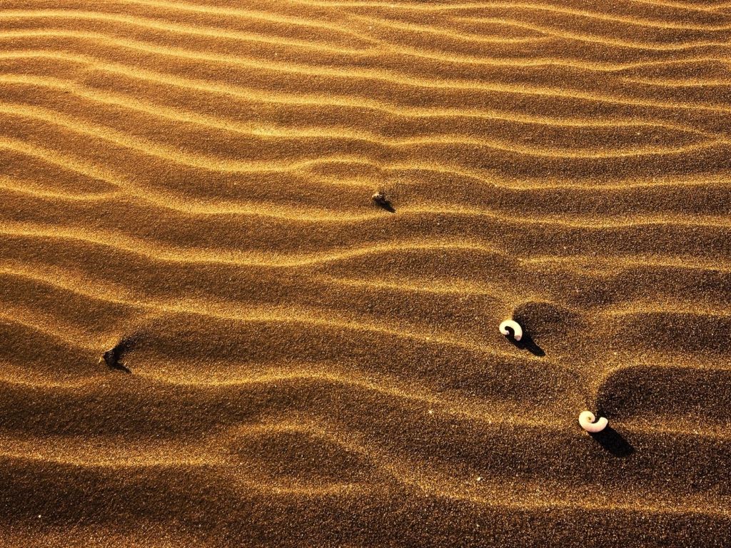 Small Sand Dunes wallpaper