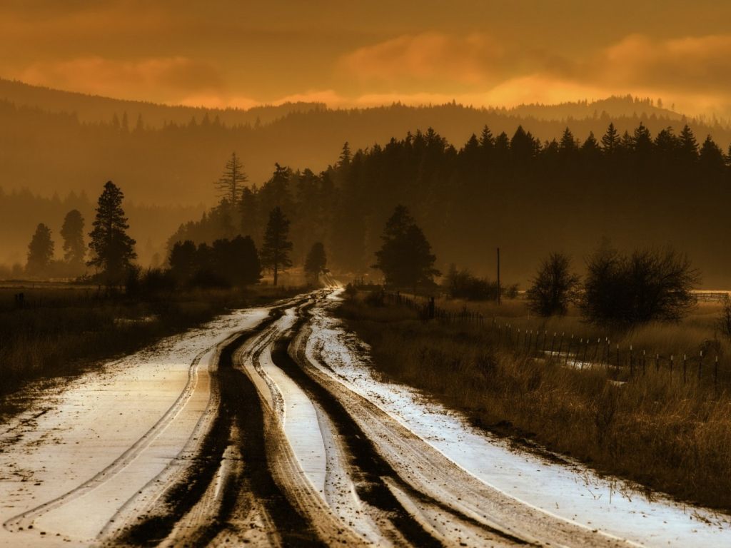 Snow Forest Road wallpaper