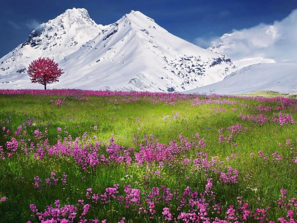 Snow Mountains Scenery wallpaper