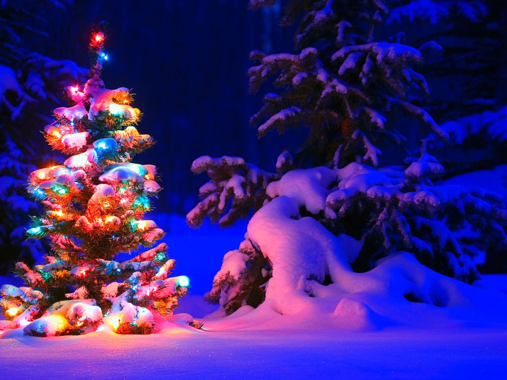 Snowy Christmas Tree Lights wallpaper