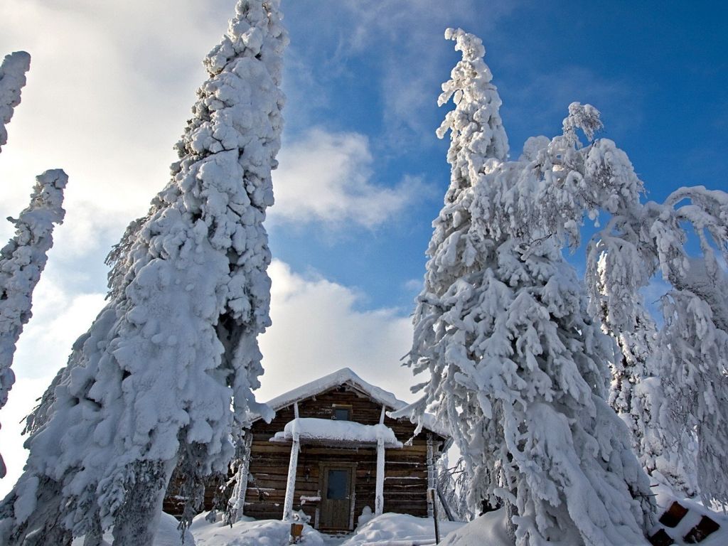 Snowy Trees Guarding The Snowy Wooden Hut wallpaper