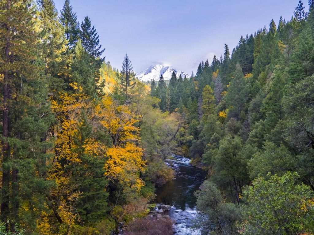 Some Fall Color Along the Upper Sacramento River With Mt. Shasta in the Distance Northern California wallpaper
