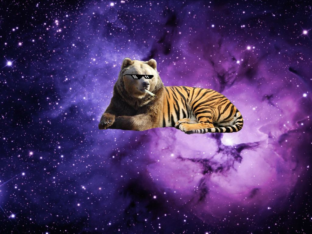 Space-Bear-Tiger wallpaper