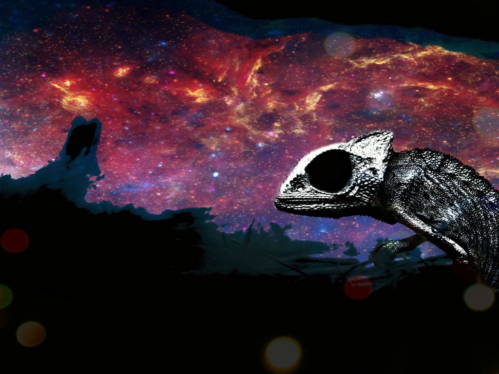 Space Chameleon wallpaper